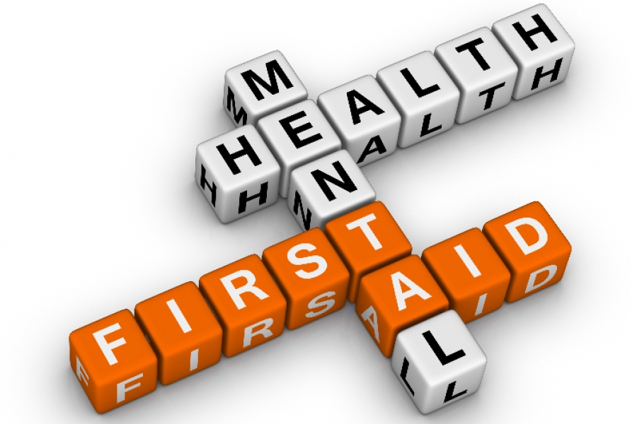 MENTAL HEALTH FIRST AID FOR 300 NORTH